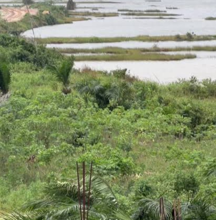 ENVIRONNEMENT Drame environnemental à Pahou : Houndjava, le prix fort de l’or blanc